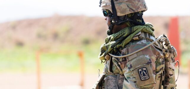 What Is Homeland Security? The Strategy Behind Protecting a Nation national safety and defense